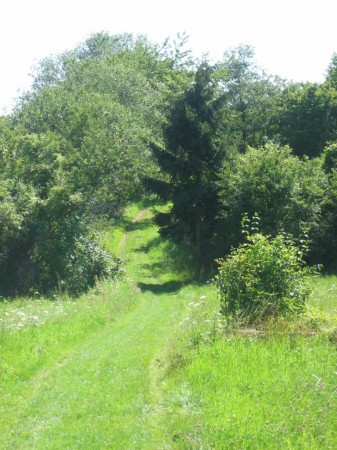 Un sentier aux tonalités intéressantes