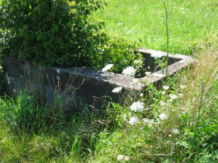 Abreuvoir abandonné