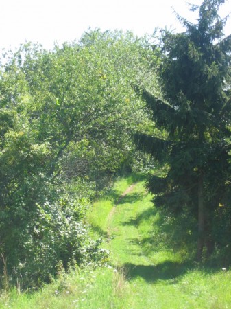 Toujours ce chemin d'ombre et de lumière