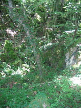Départ, cimetière de Novéant, un dédale verdoyant