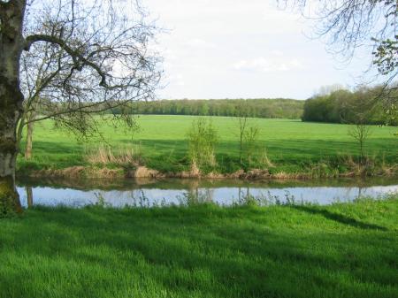 Le bonheur est dans le pré