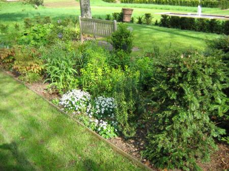 Bouquet de verdure