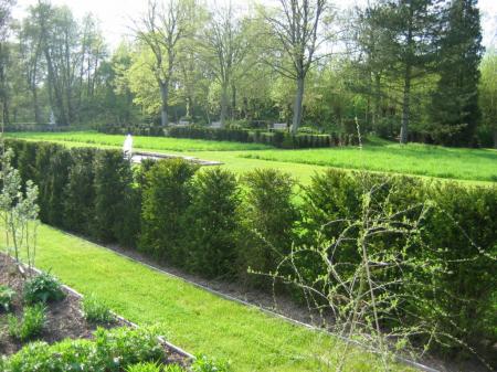 Une haie de verdure