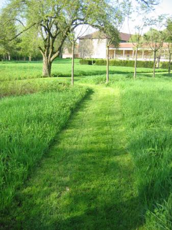 Une très belle fin dans les herbes rebelles