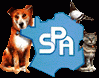 logo spa.gif