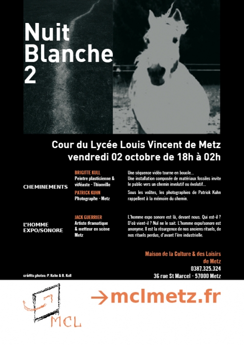nuit blanche 2 metz mcl.jpg