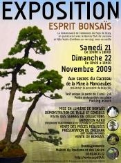 bonsais-web.jpg