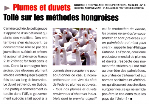 hongrie.JPG