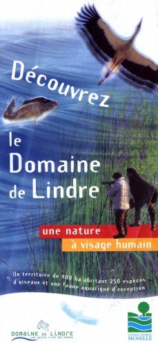 lindr1.JPG