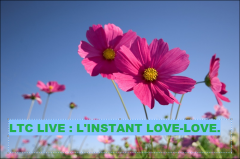 ltc live l'instant lovlove.PNG