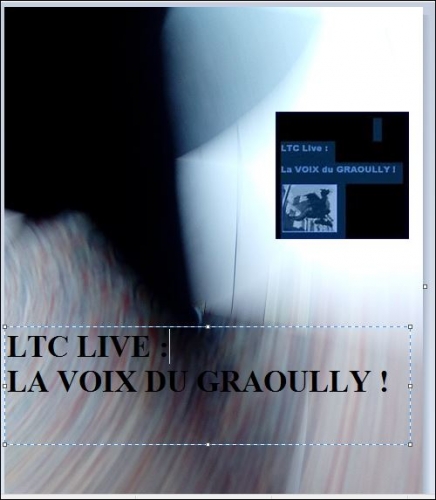 ltc live la voix 2019.JPG