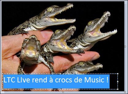 ltc live a crocs de music.JPG