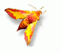 1411967832.gif
