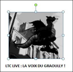 ltc live la voix du graoully 2015.JPG