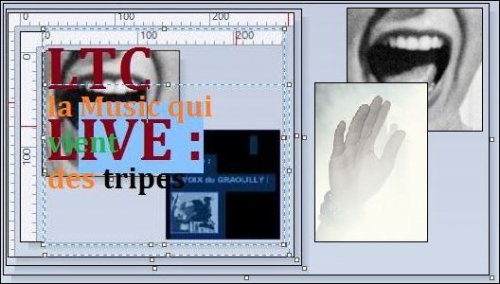 logo ltc live la music qui vient des tripes super ok.JPG