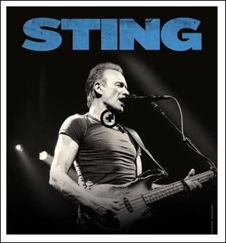 sting 3.JPG